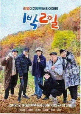 声线迷城音乐竞演综艺在线观看